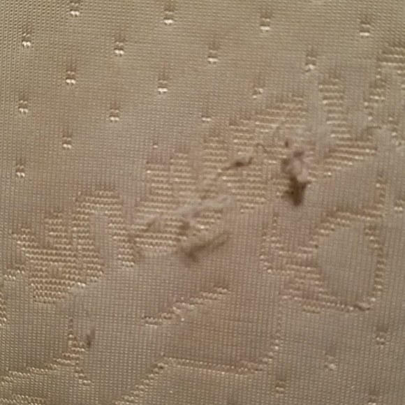 Pillow - Picture 6 of 7